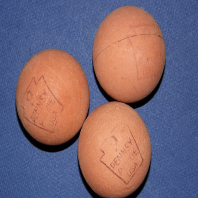 PENNSY PINKIE BALLS
from the 1960s...
sometimes known as the "spaldeen's" rival...
3 left...
we advise you to sit down when you ask the price... PENNSY PINKIE BALLS
from the 1960s...
sometimes known as the "spaldeen's" rival...
3 left...
we advise you to sit down when you ask the price...